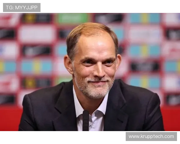 图赫尔赞帕尔默第二定位模糊